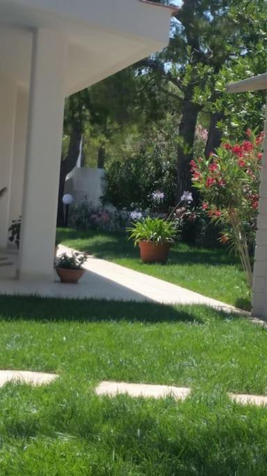 Villa A Marina Di Ostuni Exteriér fotografie